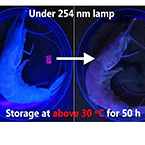 Artificial 'chameleon skin' detects seafood spoilage with color change.
