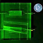 Portable food safety sensor snags Salmonella with virus-coated polymer