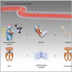 New light-controlled microgripper delivers both accuracy and force