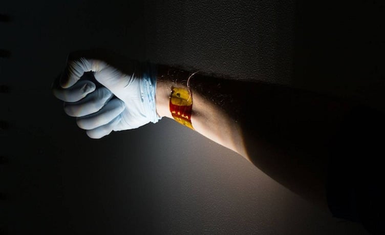 Flexible semiconductors move toward practical use