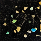 New seaweed-inspired approach removes ocean microplastics regardless of size