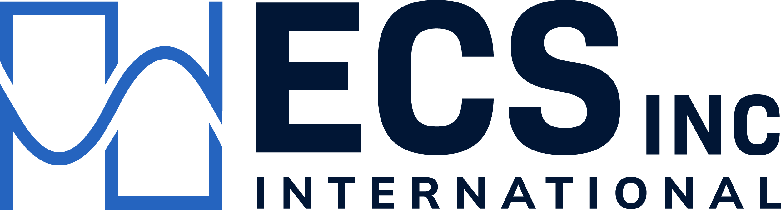 ECS Inc. International Logo